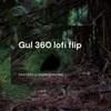 Gul 360 lofi flip